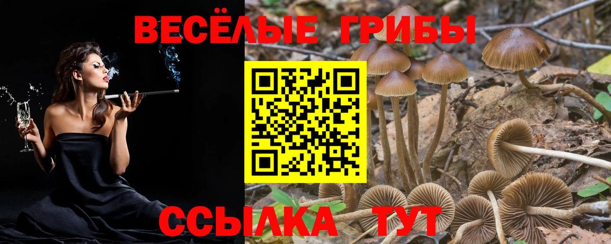 Галлюциногенные грибы Magic Shrooms Воскресенск